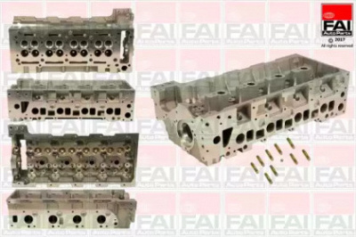 FAI AUTOPARTS bch039 -  Головка цилиндра